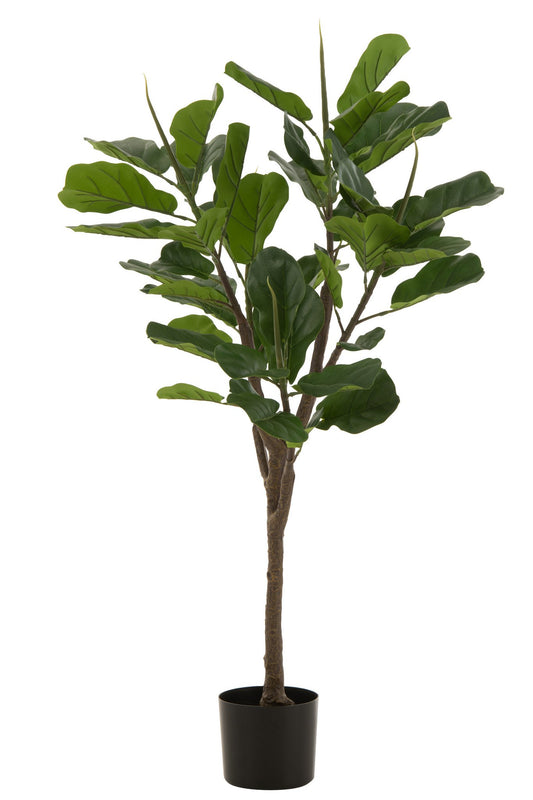J-Line Vioolbladplant Plastiek Groen