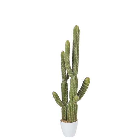 J-Line Cactus+Pot Kunststof Groen/Melamine Wit Large