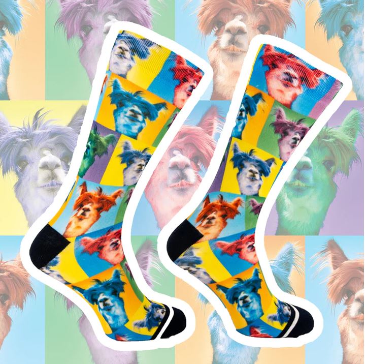Sock My Feet Herensok Sock My Alpaca