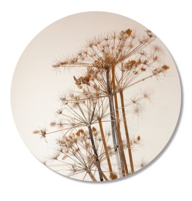 The Big Gifts Muurcirkel Berenklauw 30cm