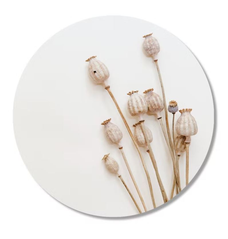 The Big Gifts Muurcirkel Papaver 30cm