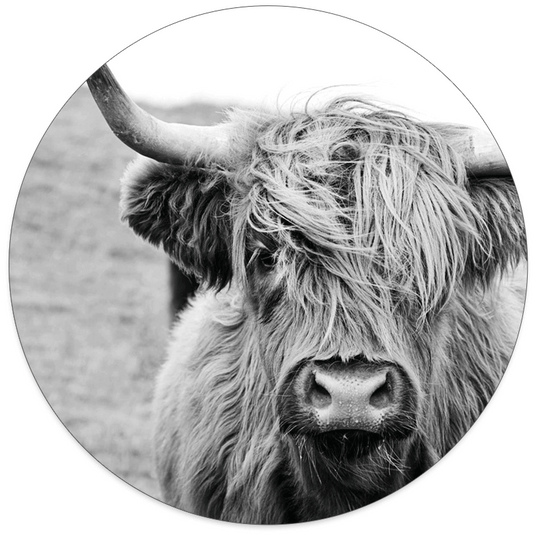 Label2X Set Muurcirkel Koe en Buffel 2x Ø12cm