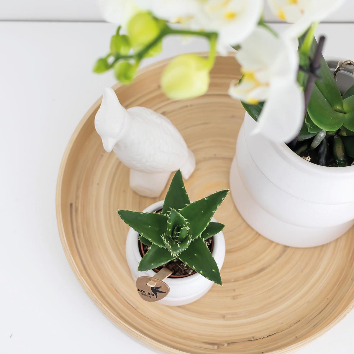 Kolibri Home | Decoratieschaal - Rond egaal bamboe dienblad Ø30cm