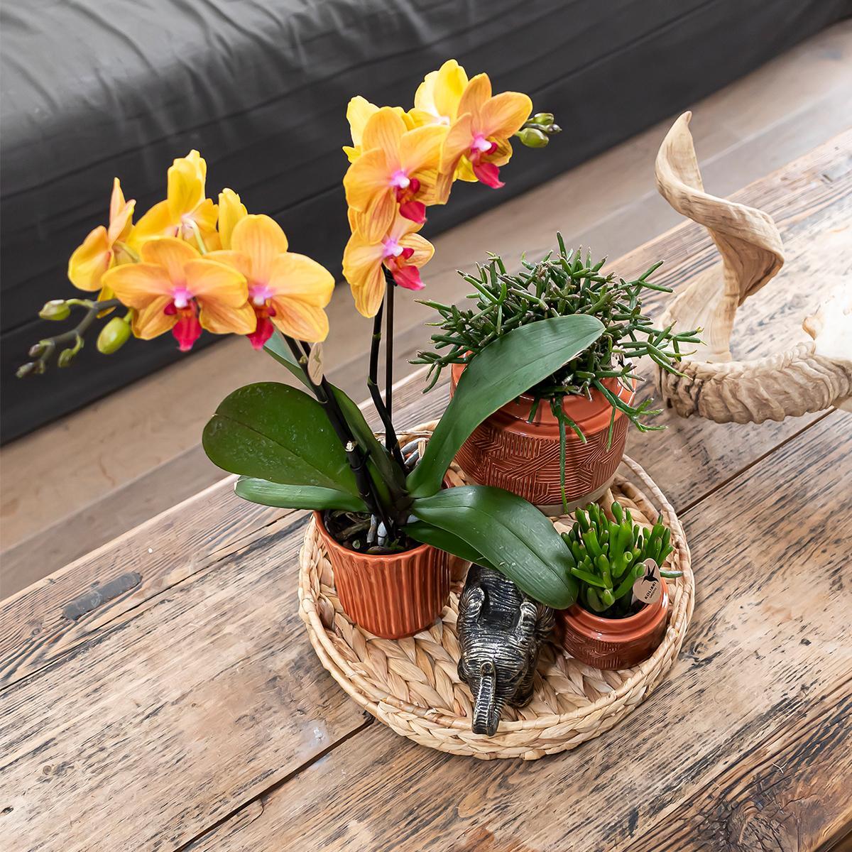 Kolibri Home | Decoratieschaal - Rond hyacinth dienblad Ø30cm