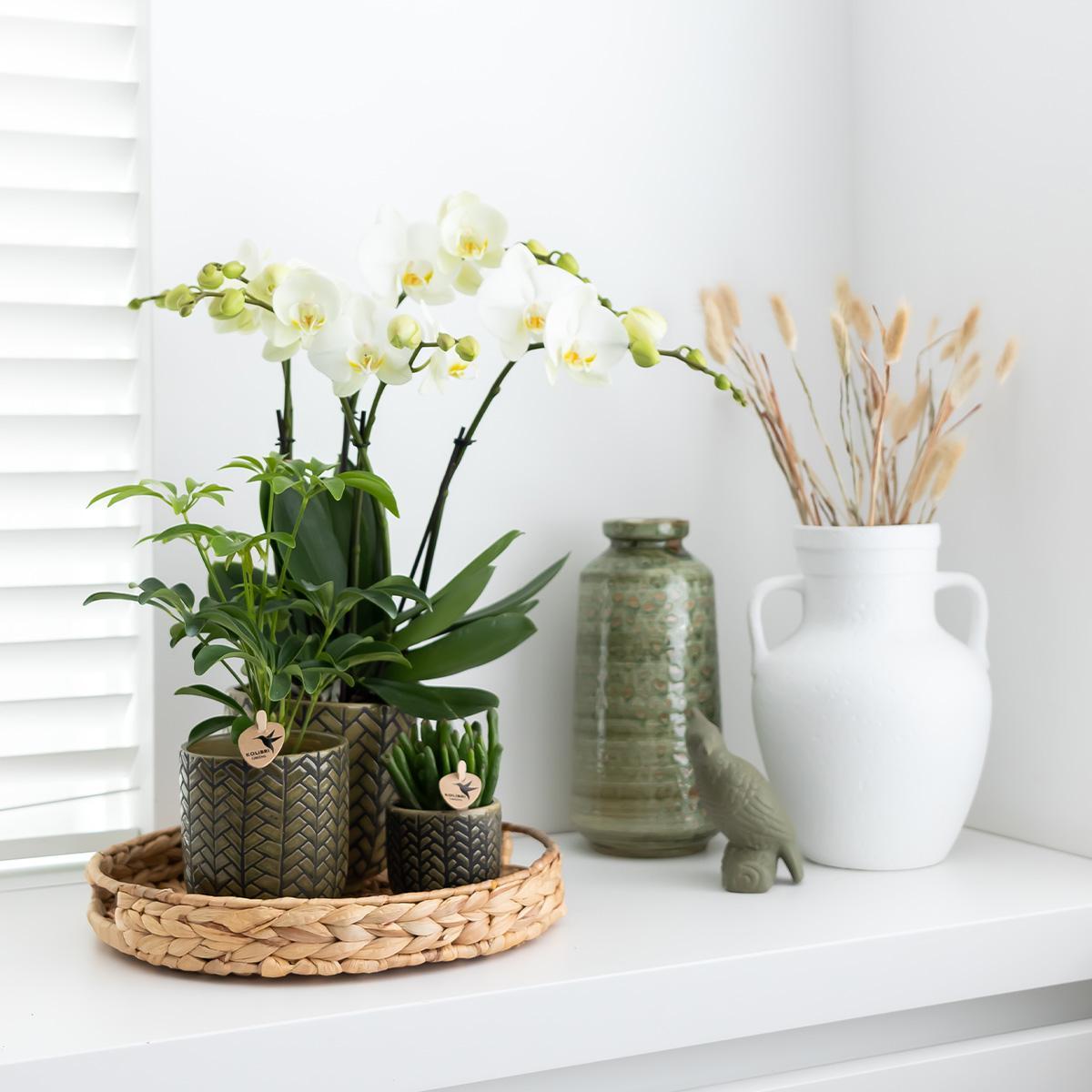 Kolibri Home | Decoratieschaal - Rond hyacinth dienblad Ø30cm