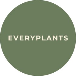 Everyplants planten kopen? %u2013 Julien Deluxe