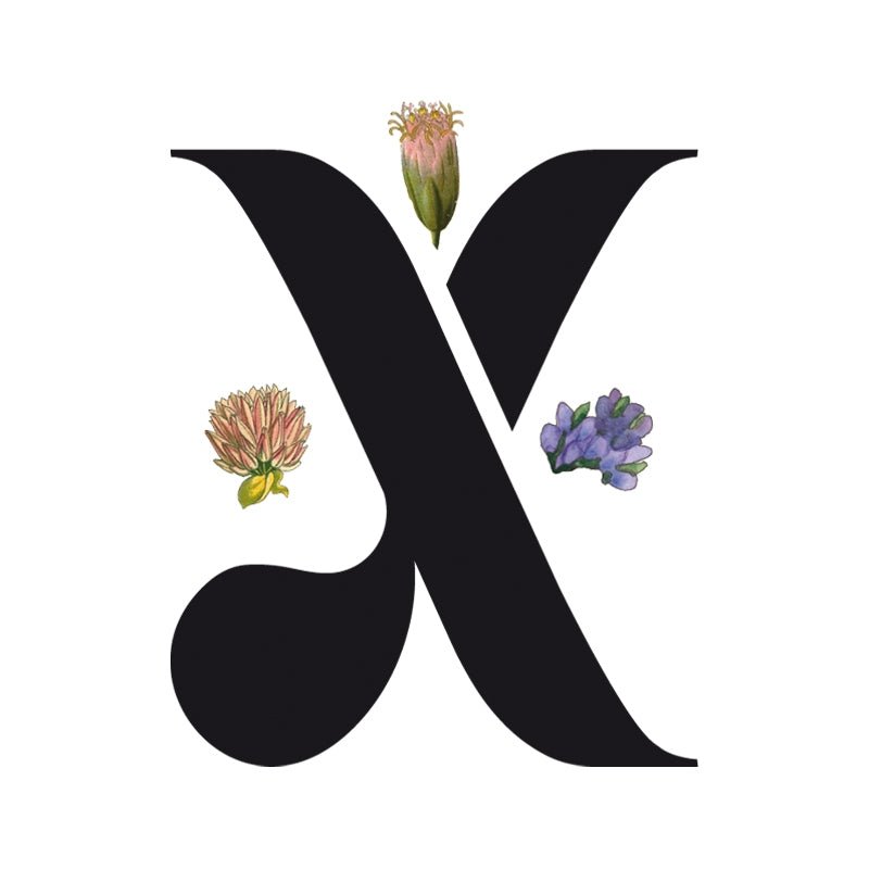 Ambiorix Spirits - Julien Deluxe