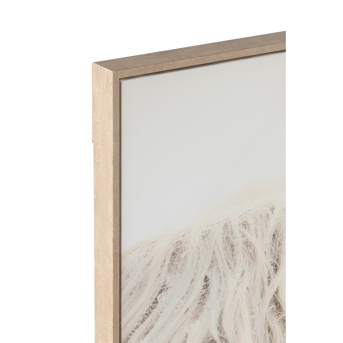 J-Line Wanddecoratie Yak Hoofd Hout/Polyresin Wit/Beige