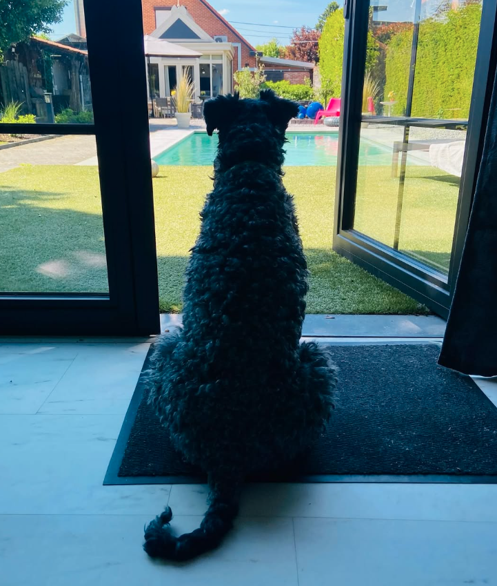 Snor en co bij Julien Deluxe