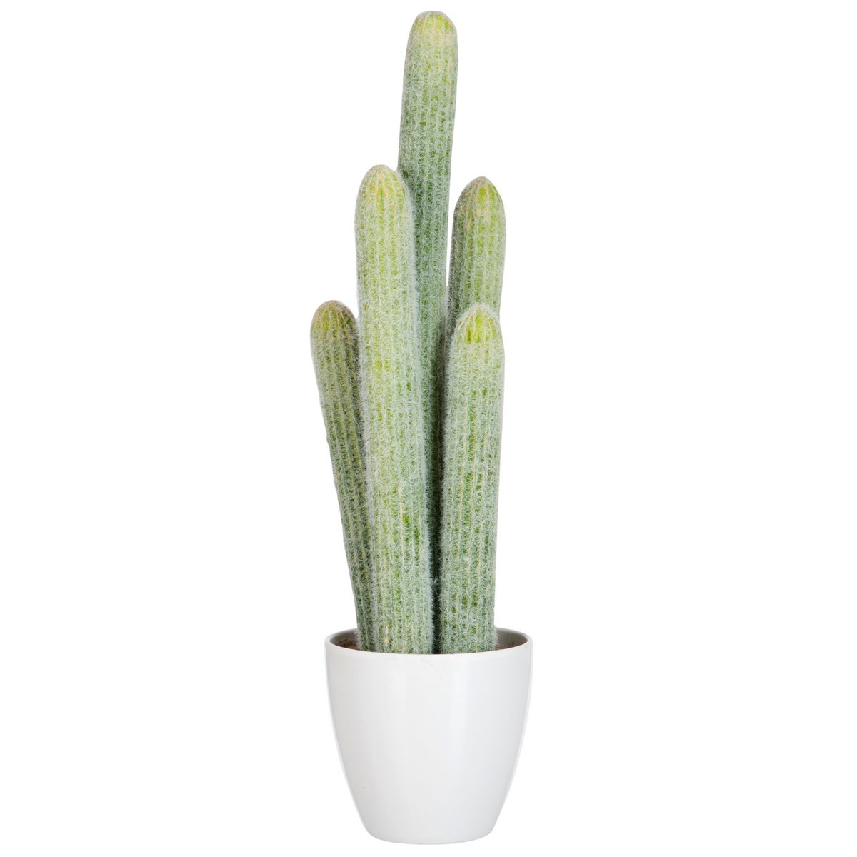 J-Line Cactus 5Delig Licht Groen