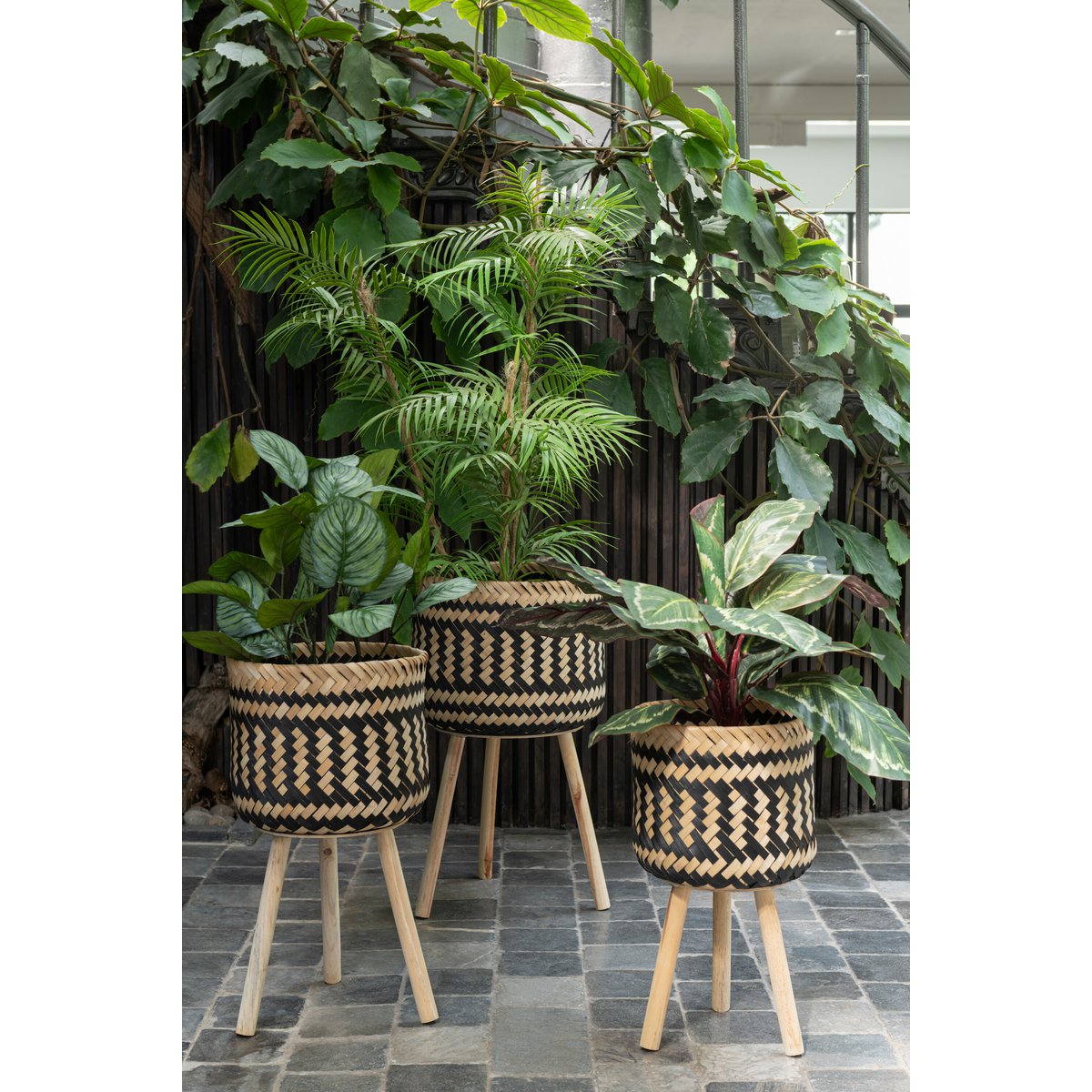 J-Line Bergpalm In Pot Plastiek Groen/Zwart Small