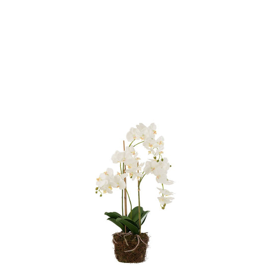 J-Line Orchidee In Aarde Plastiek Wit/Groen Large