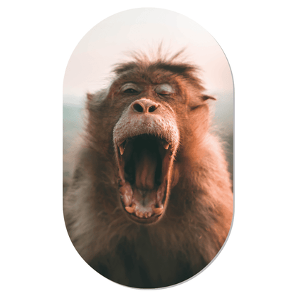 Label2X Muurovaal Monkey