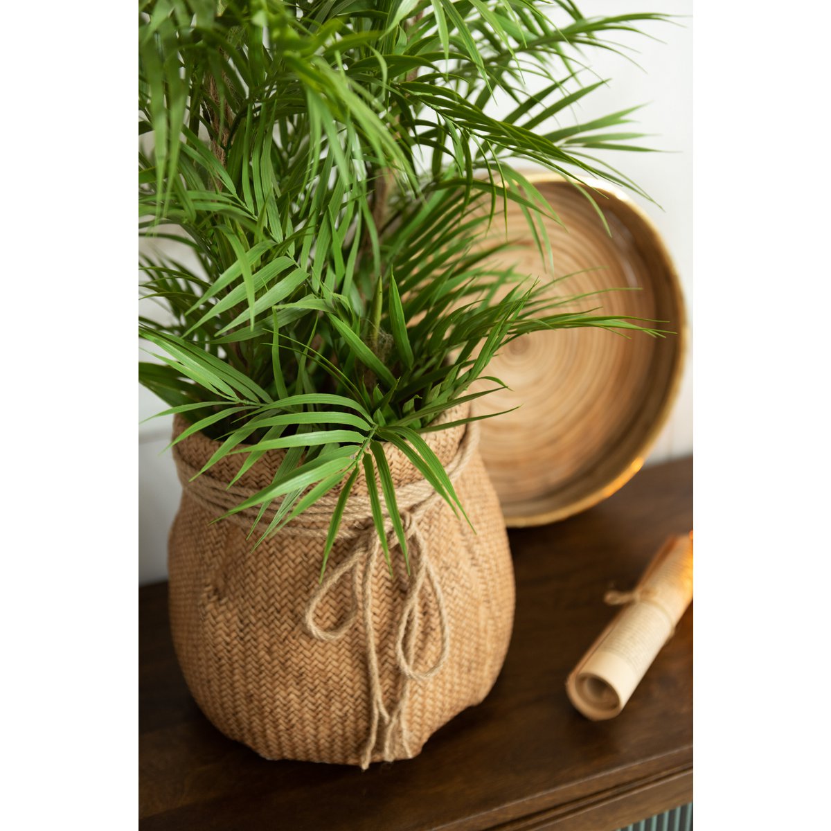 J-Line Bergpalm In Pot Plastiek Groen/Zwart Small