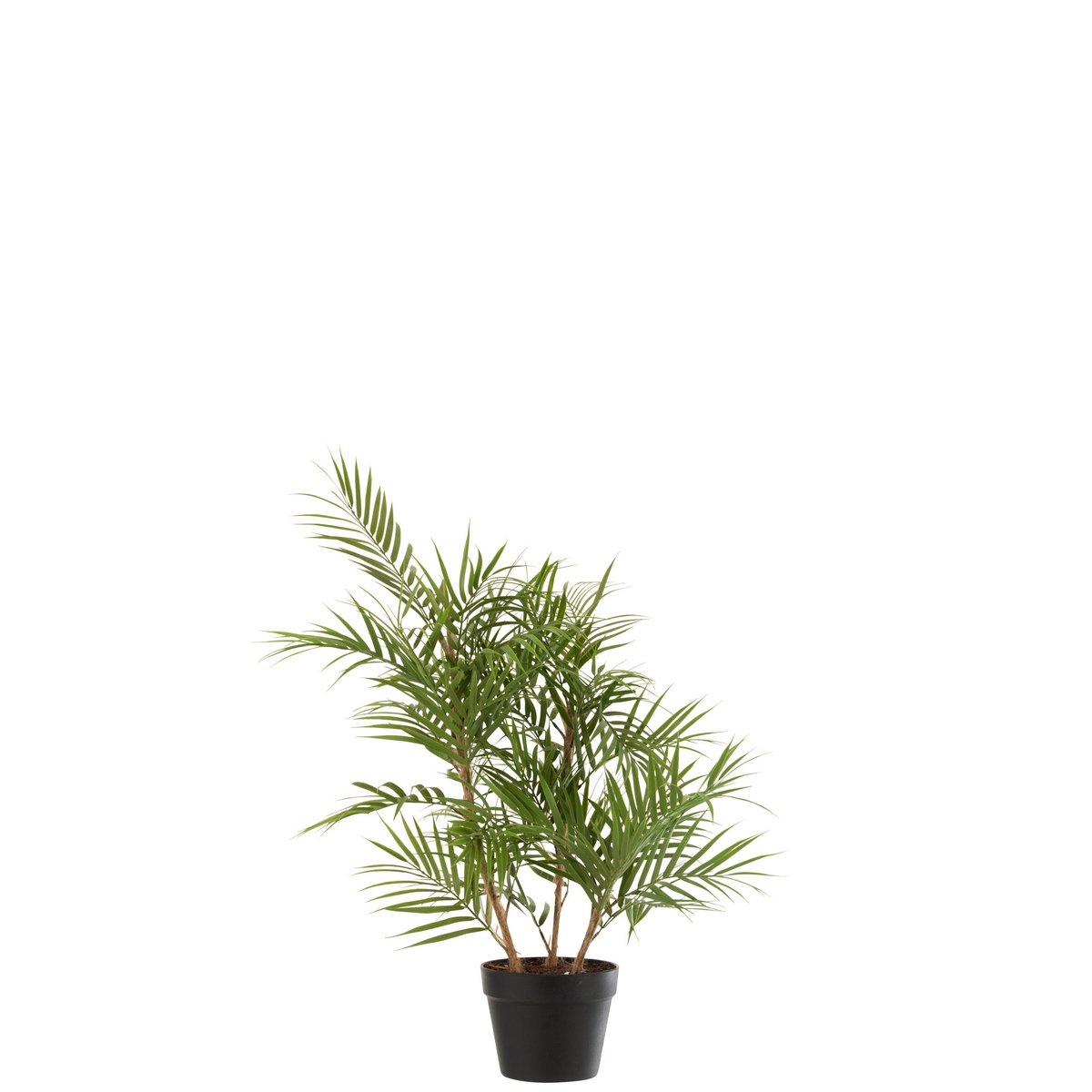 J-Line Bergpalm In Pot Plastiek Groen/Zwart Small