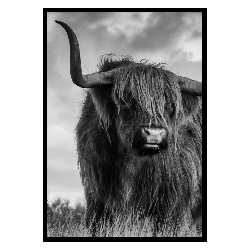 Punt-poster-fotoprint-highlander