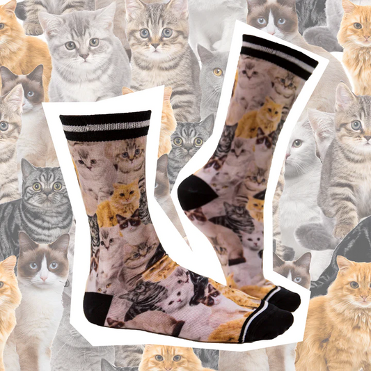 Sock My Feet Damessok Sock My Cats