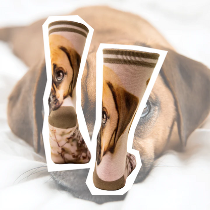 Sock My Feet Damessok Sock My Puppy