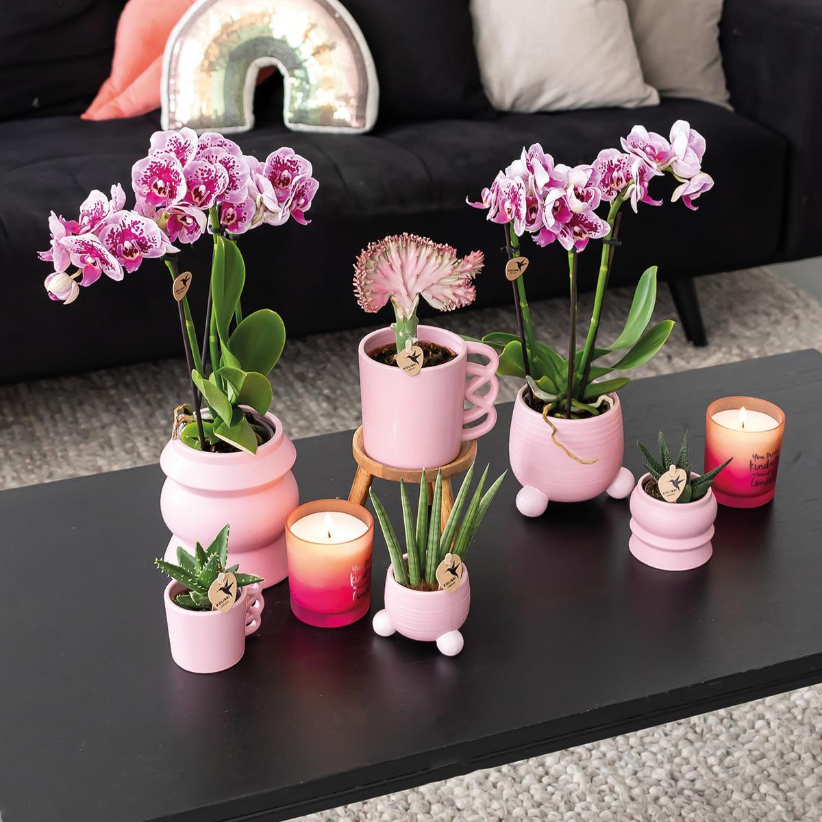 Kolibri Home | Rolling roze bloempot - roze keramieken sierpot Ø6cm