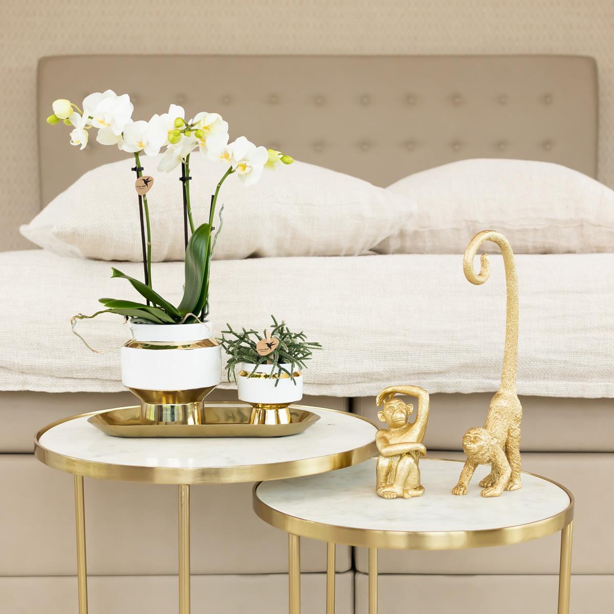 Kolibri Home | Le Chic bloempot - Witte keramieken sierpot met gouden details - potmaat Ø6cm