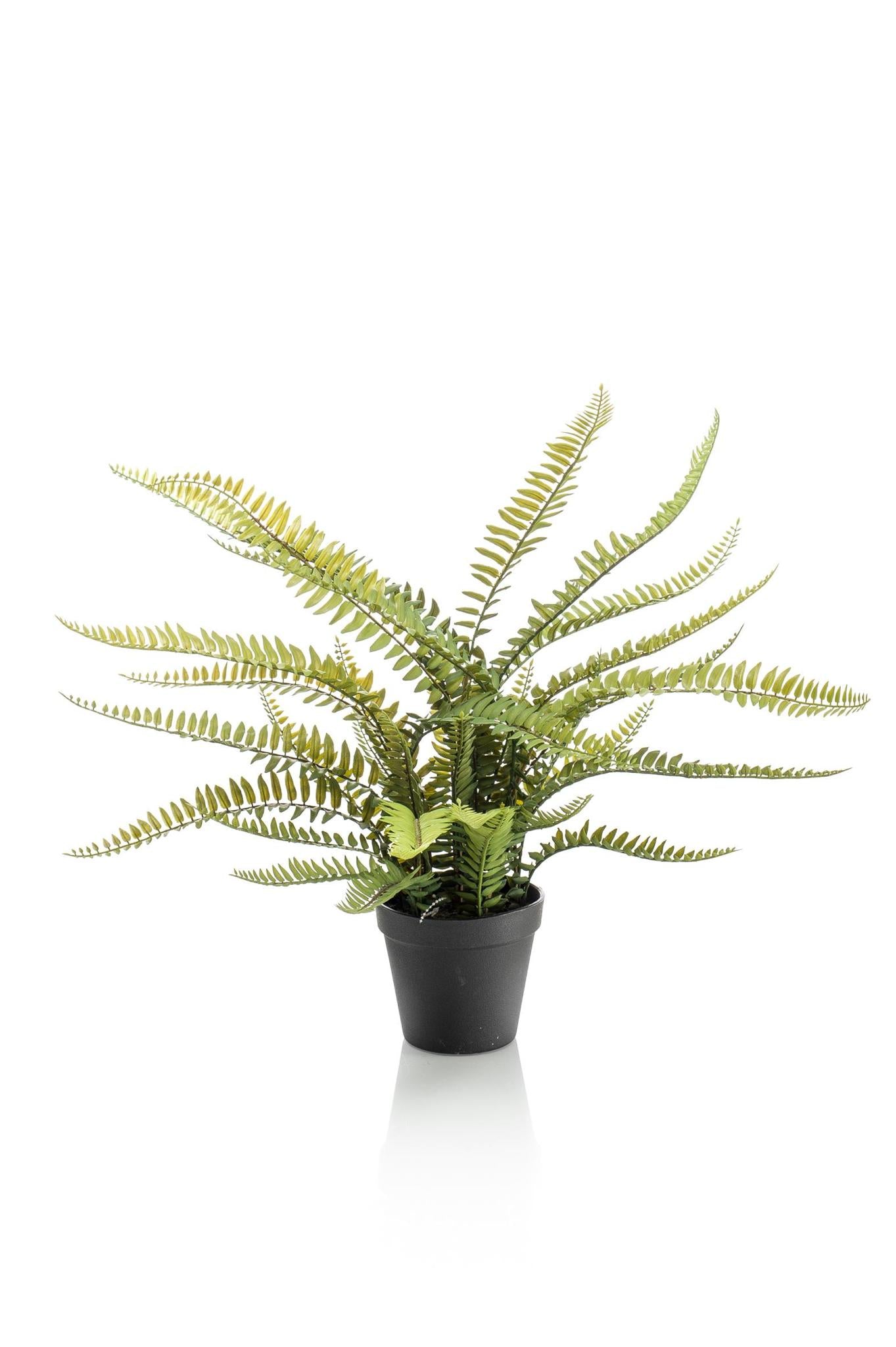 Kunstplant - Nephrolepis Exaltata - Bostonvaren - 55 cm