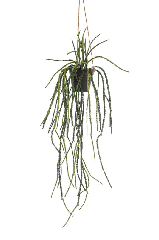 Kunstplant - Rhypsalis - Koraalcactus - 85 cm