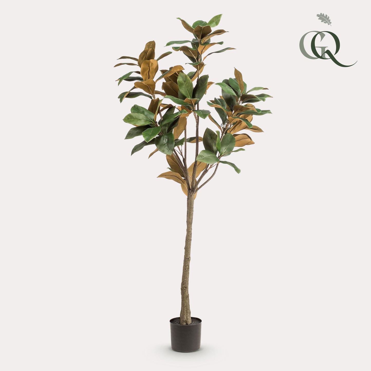 Kunstplant - Magnolia Grandiflora - Abelia - 150 cm