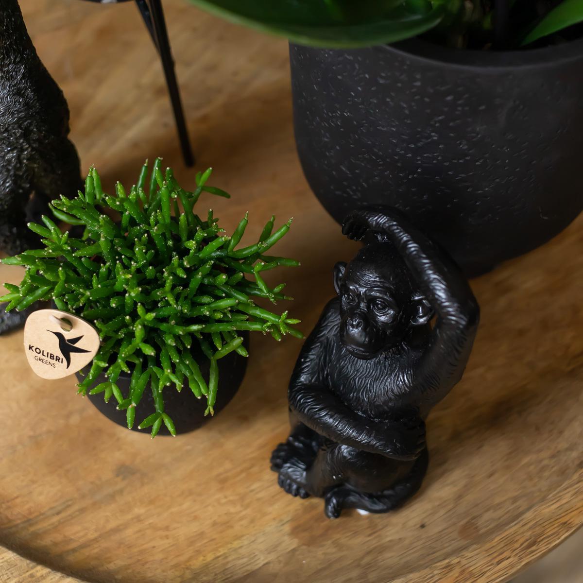 Kolibri Home | Ornament - Decoratie beeld Sitting Monkey zwart