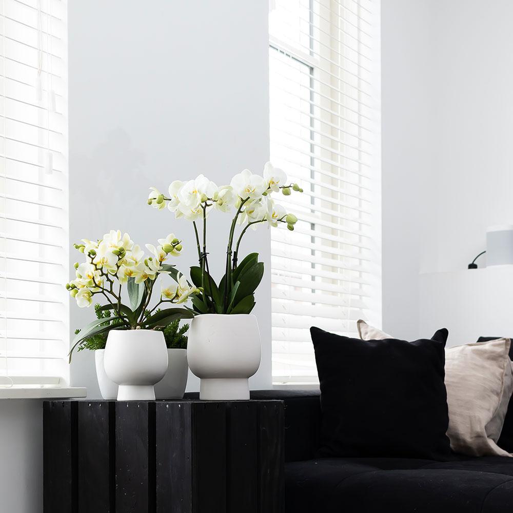 Kolibri Home | Scandic white bloempot - Witte keramieken sierpot - potmaat Ø12cm
