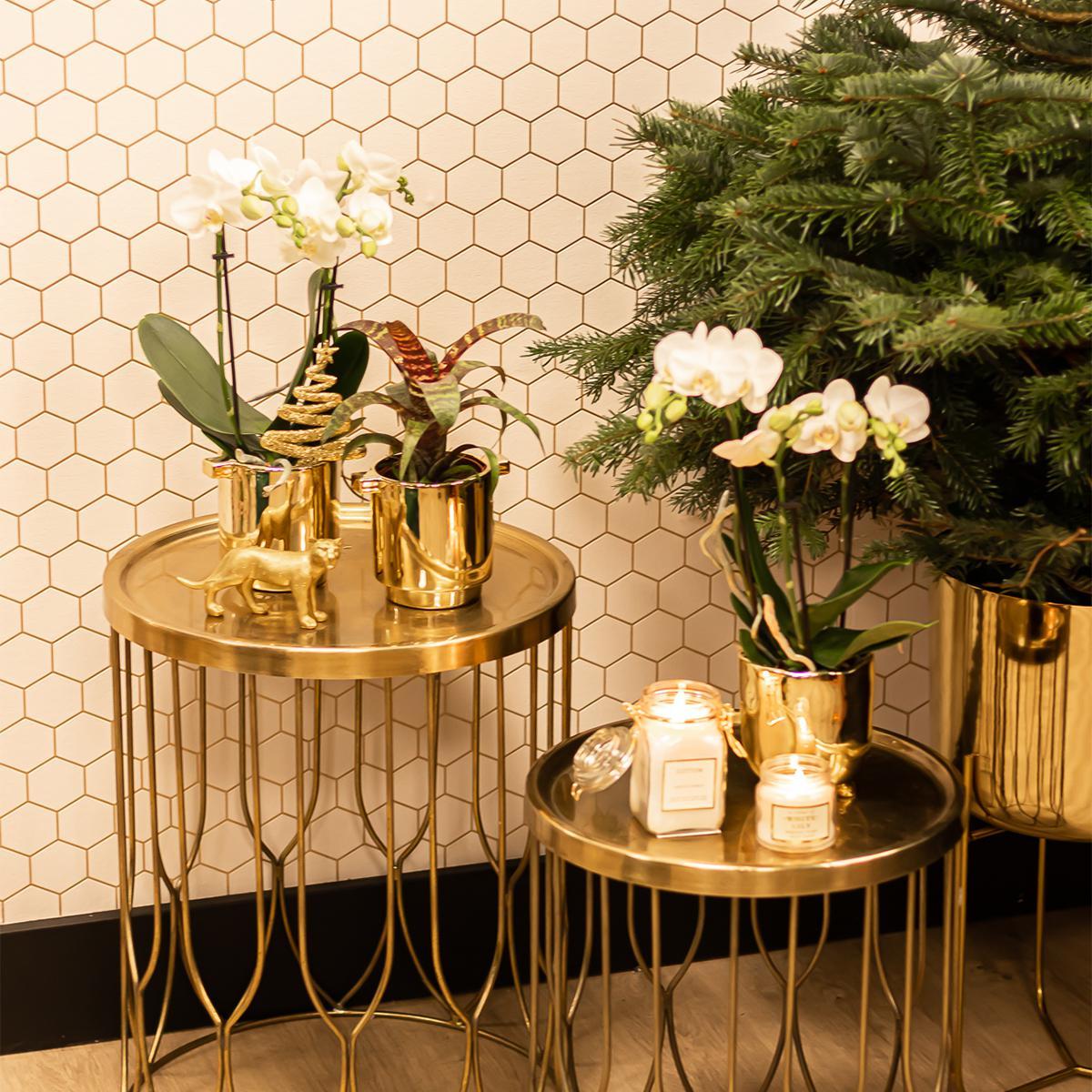 Kolibri Home | Ornament - Gouden decoratie Jaguar