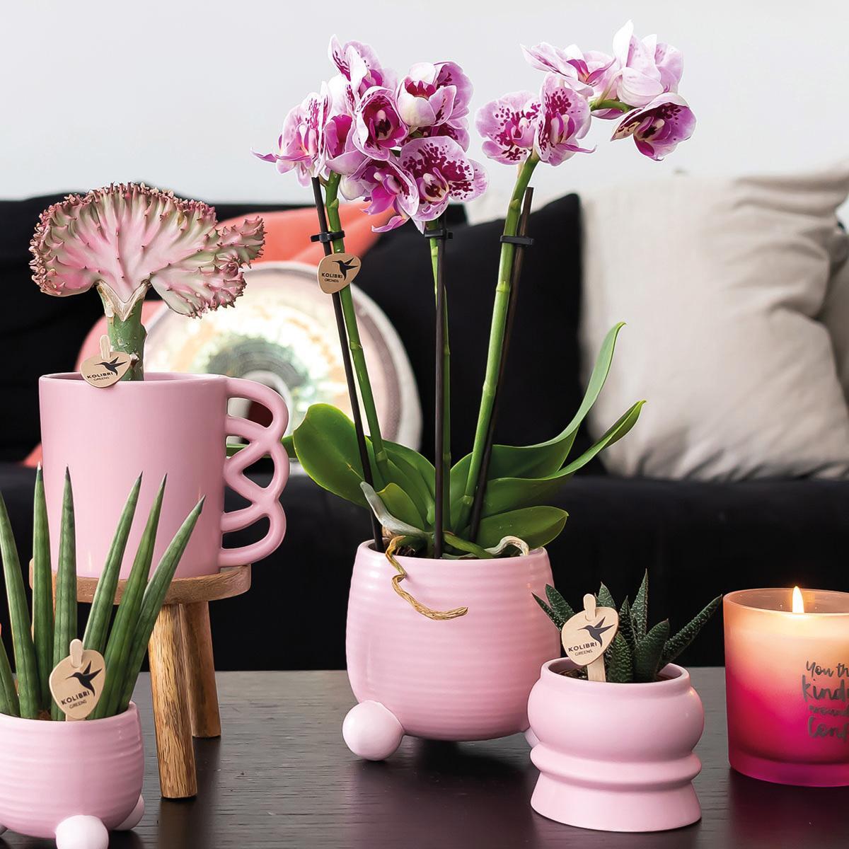 Kolibri Home | Rolling roze bloempot - roze keramieken sierpot Ø6cm