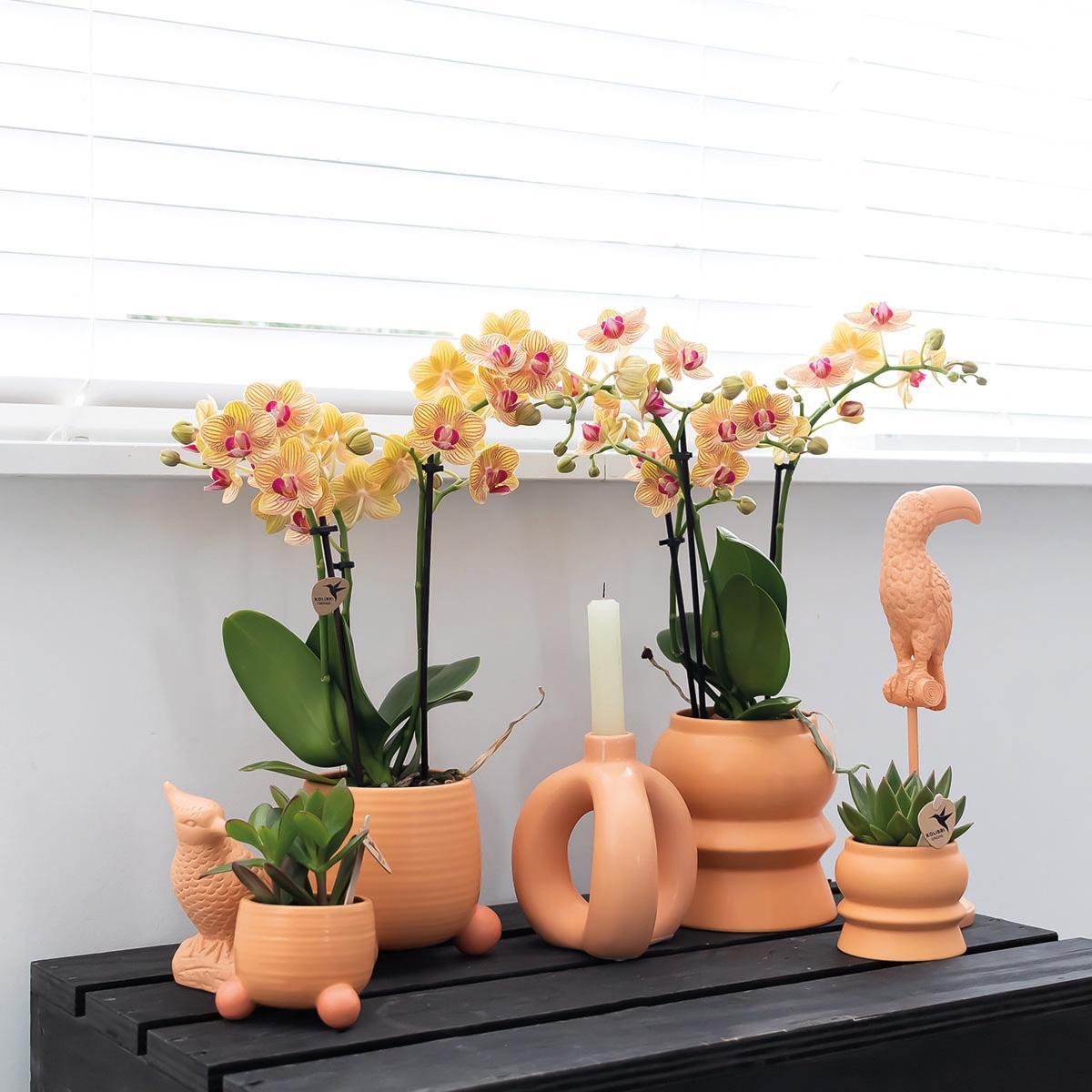 Kolibri Home | Rolling peach bloempot - Peach kleurige keramieken sierpot Ø9cm