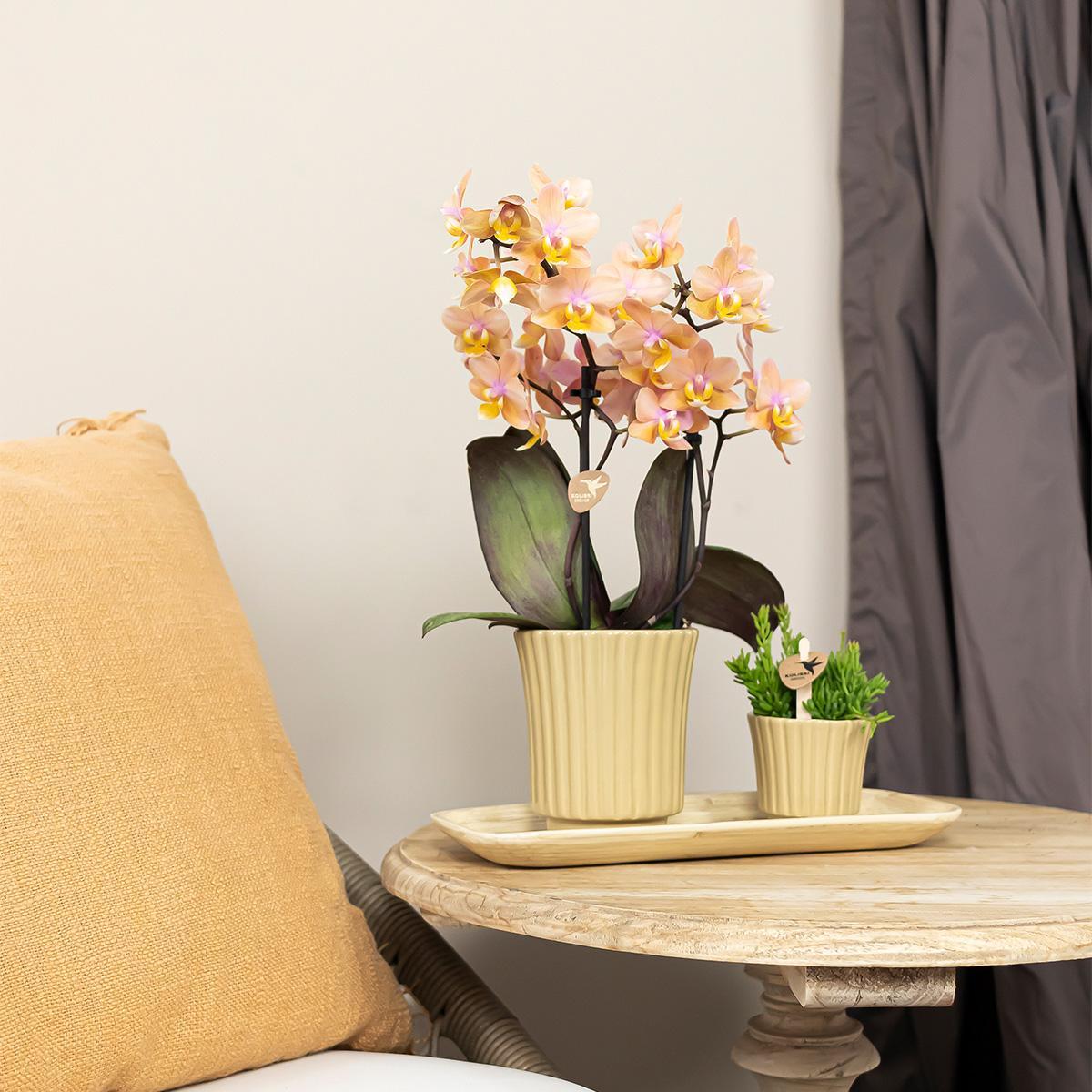 Kolibri Home | Retro khaki bloempot - khaki kleurige keramieken sierpot Ø6cm