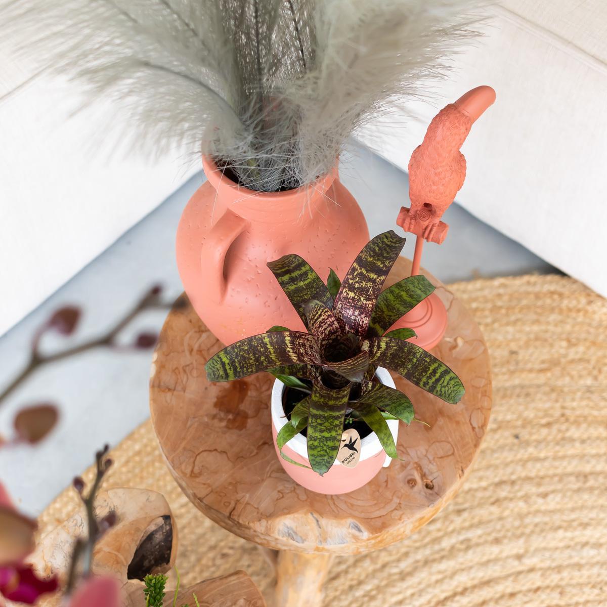 Kolibri Home | Ornament - Decoratie beeld Toucan terracotta
