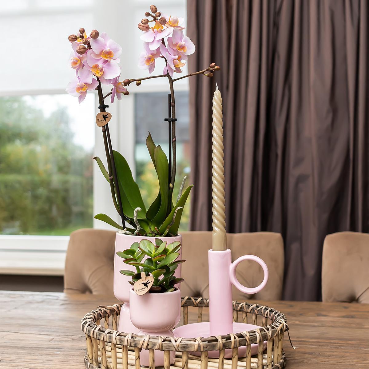 Kolibri Home | Trophy bloempot - Roze keramieken sierpot - potmaat Ø6cm