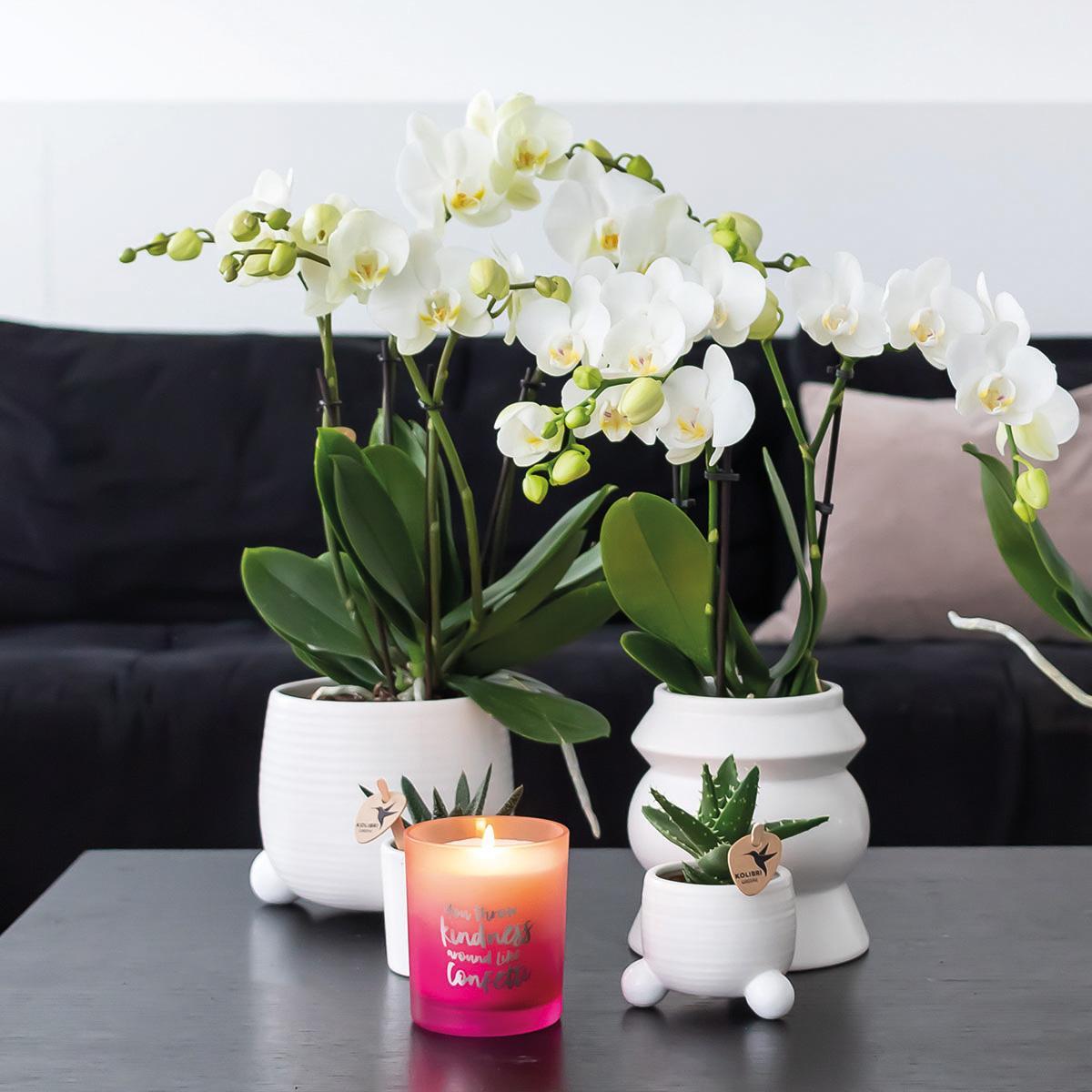 Kolibri Home | Rolling witte bloempot - witte keramieken sierpot Ø6cm