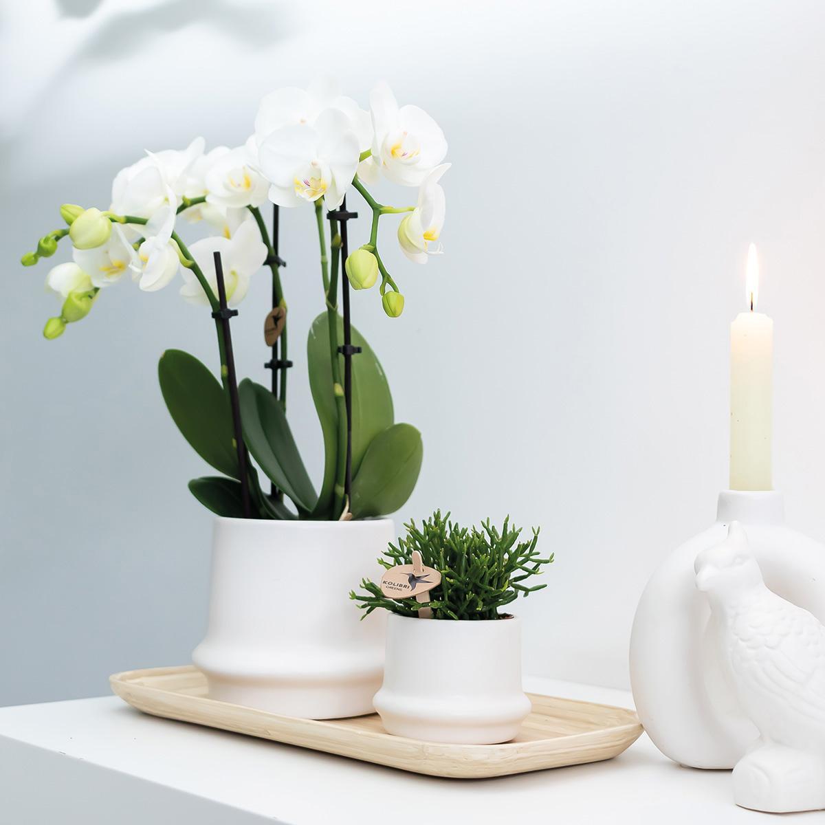 Kolibri Home | Ring bloempot - Witte keramieken sierpot Ø9cm