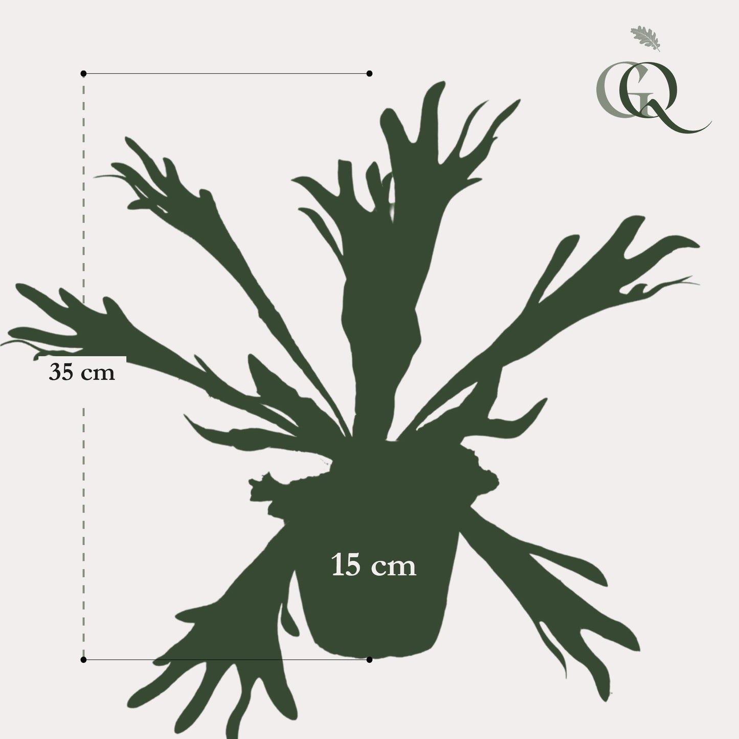 Kunstplant - Staghorn Fern - Hertshoorn - 33 cm