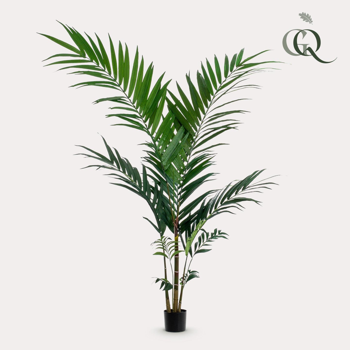 Kunstplant - Kentia -Kentiapalm - 150cm