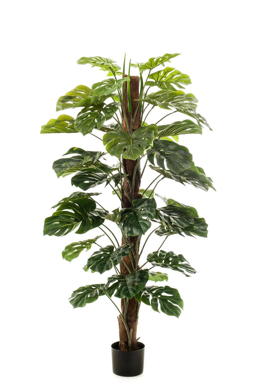 Kunstplant - Monstera Deliciosa - Gatenplant - 150 cm