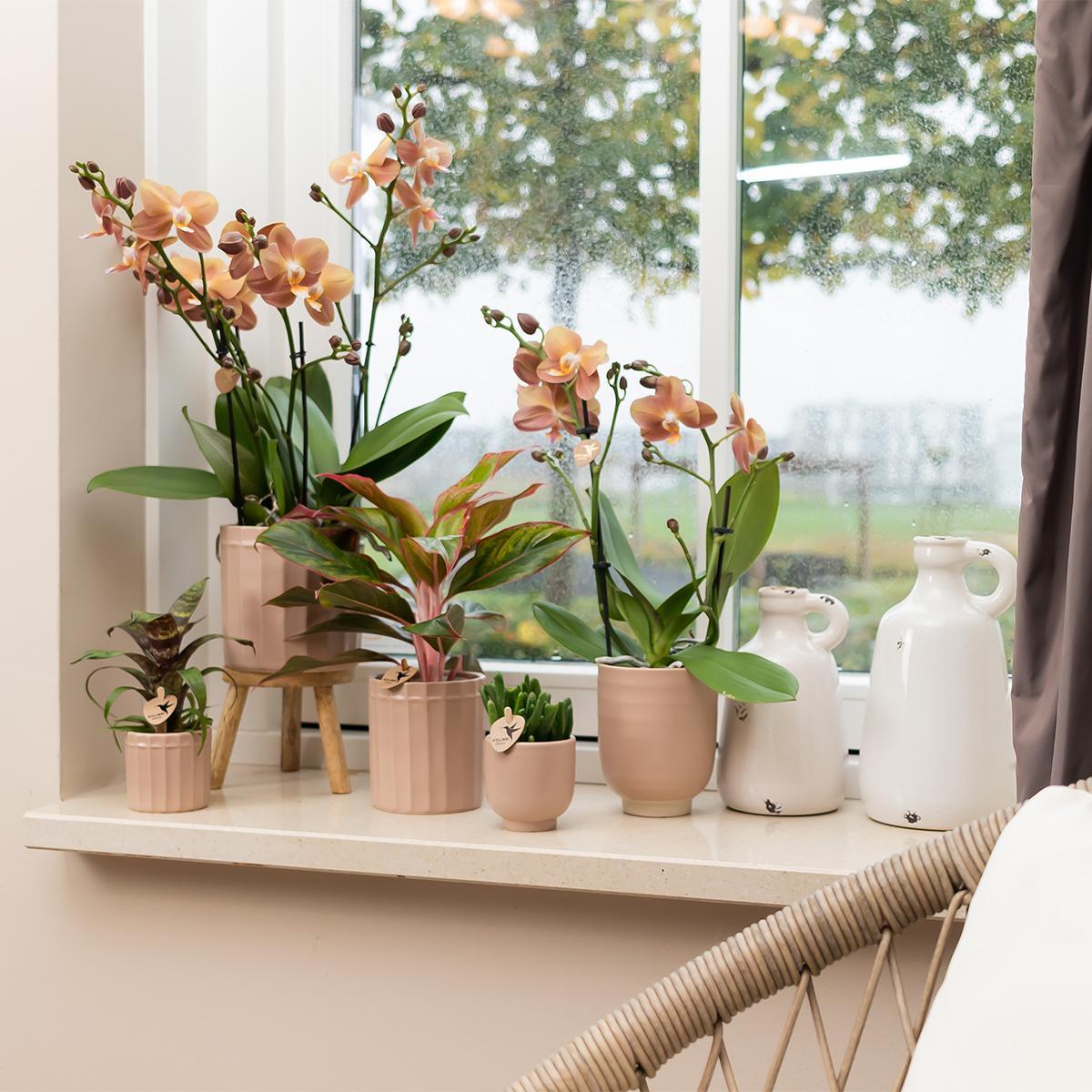 Kolibri Home | Glazed bloempot - Zandkleurige keramieken sierpot met glans  - potmaat Ø12cm