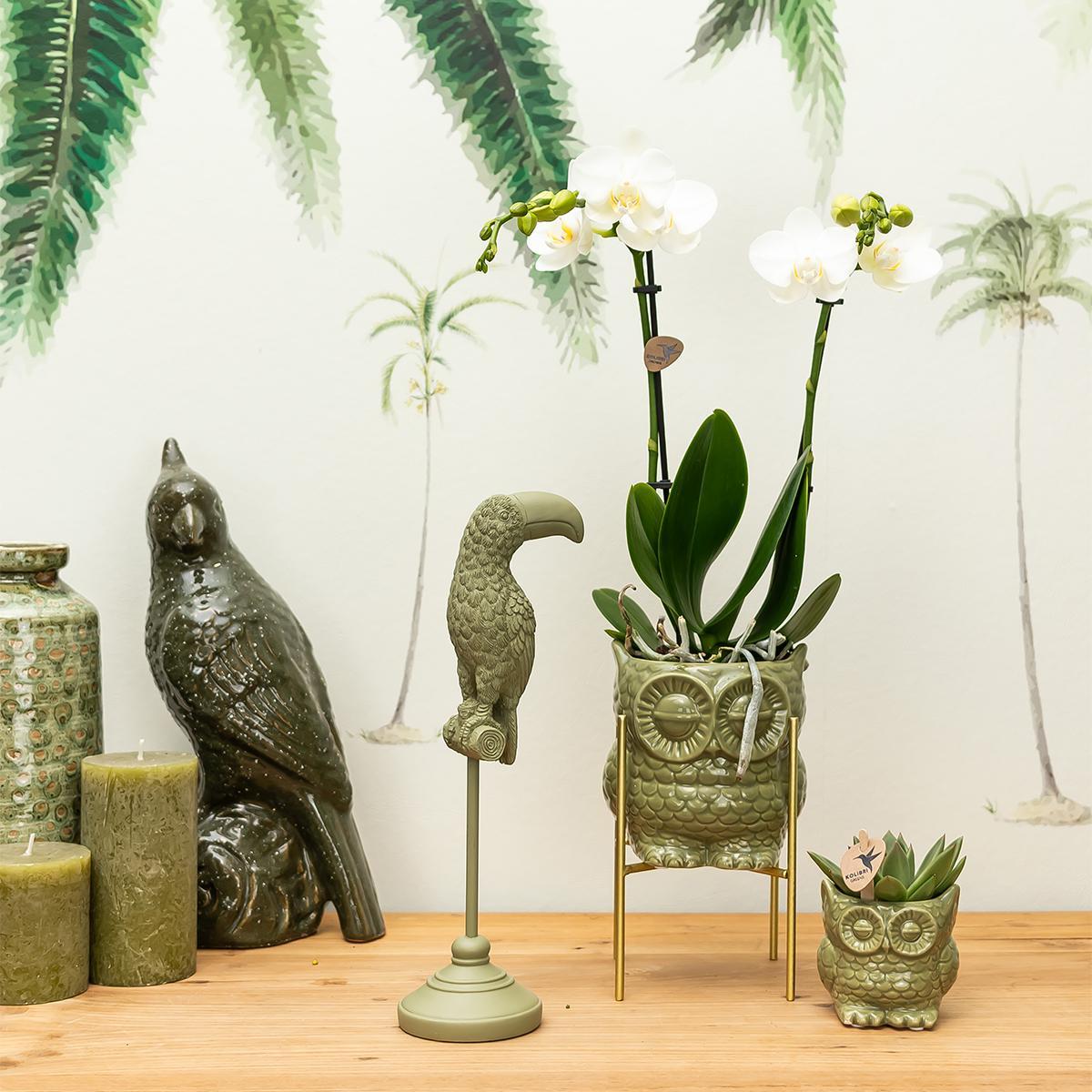 Kolibri Home | Owl bloempot - Groene keramieken sierpot - potmaat Ø6cm