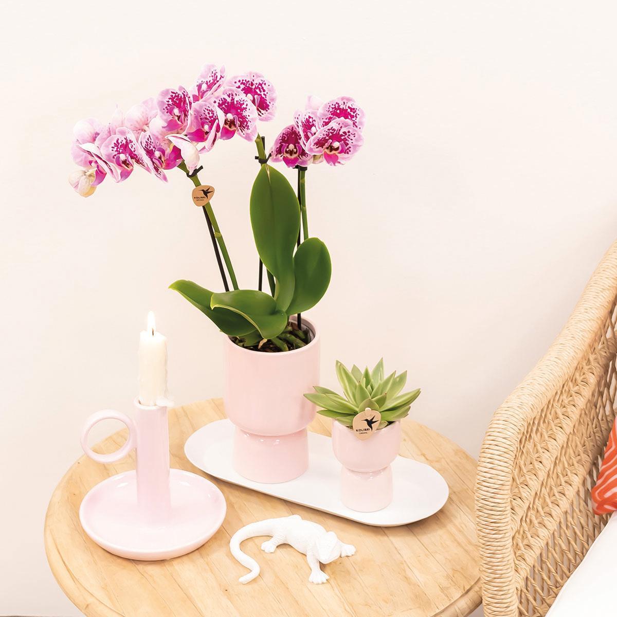 Kolibri Home | Trophy bloempot - Roze keramieken sierpot - potmaat Ø9cm