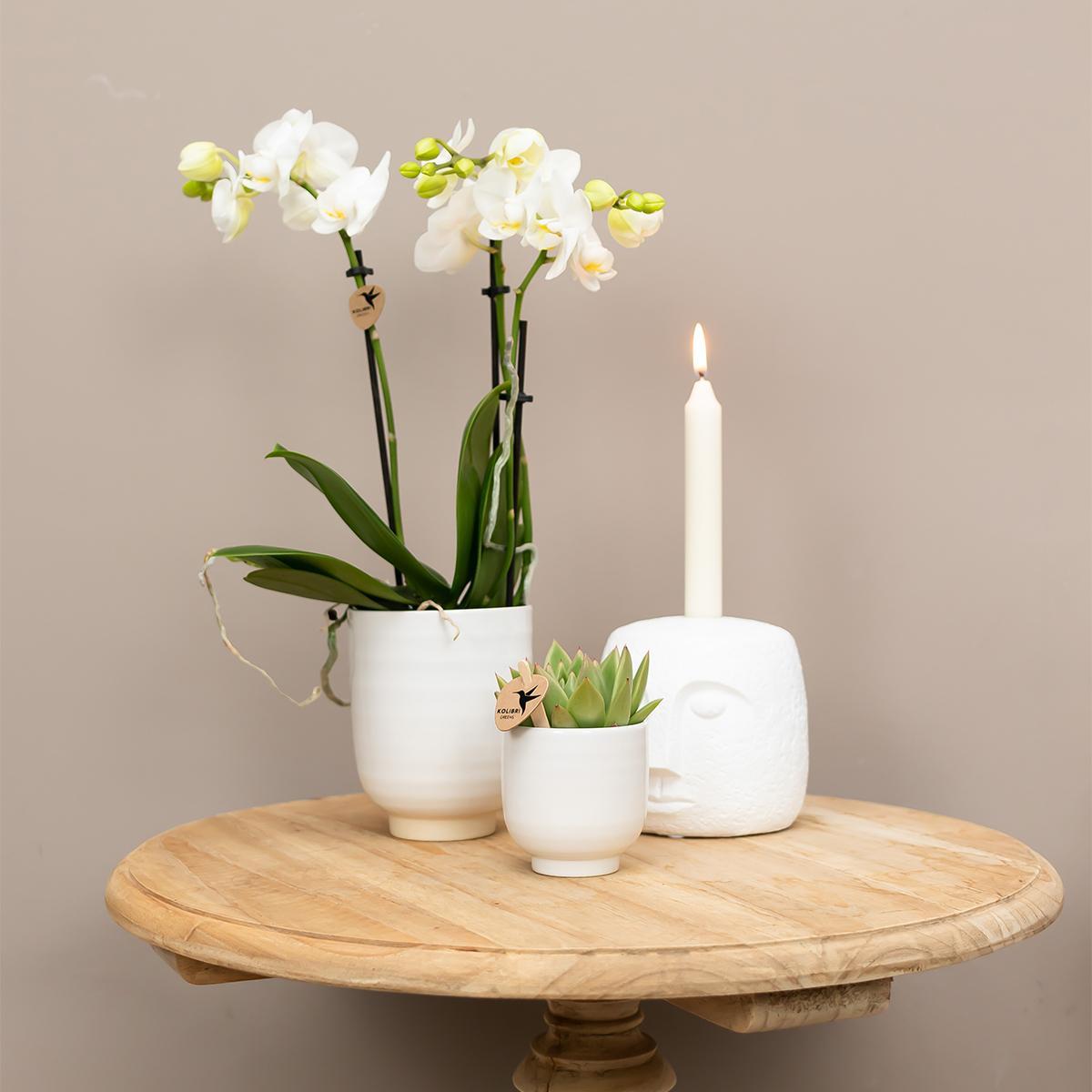 Kolibri Home | Glazed bloempot - Witte keramieken sierpot met glans - potmaat Ø9cm