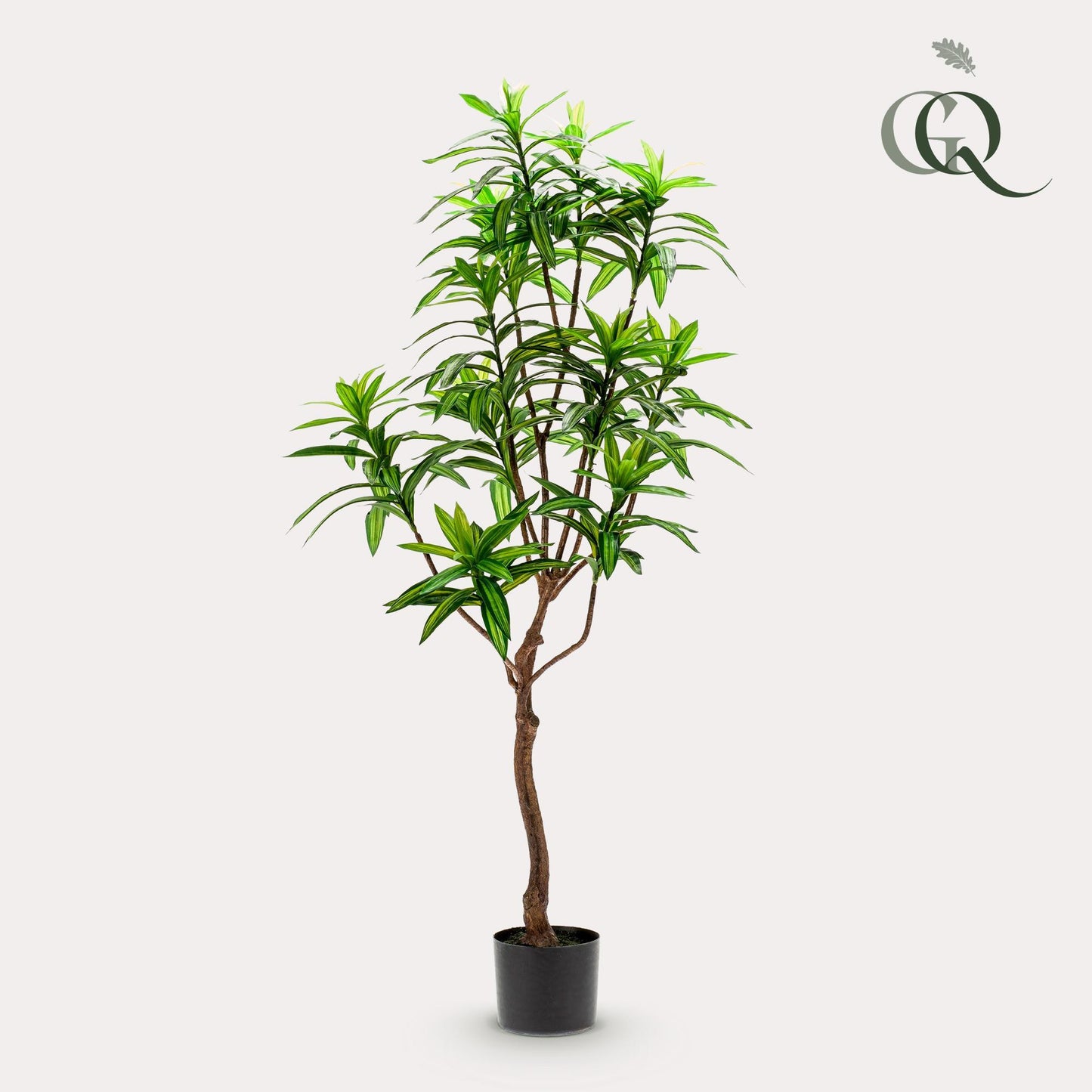 Kunstplant - Dracaena - Drakenboom - 130 cm