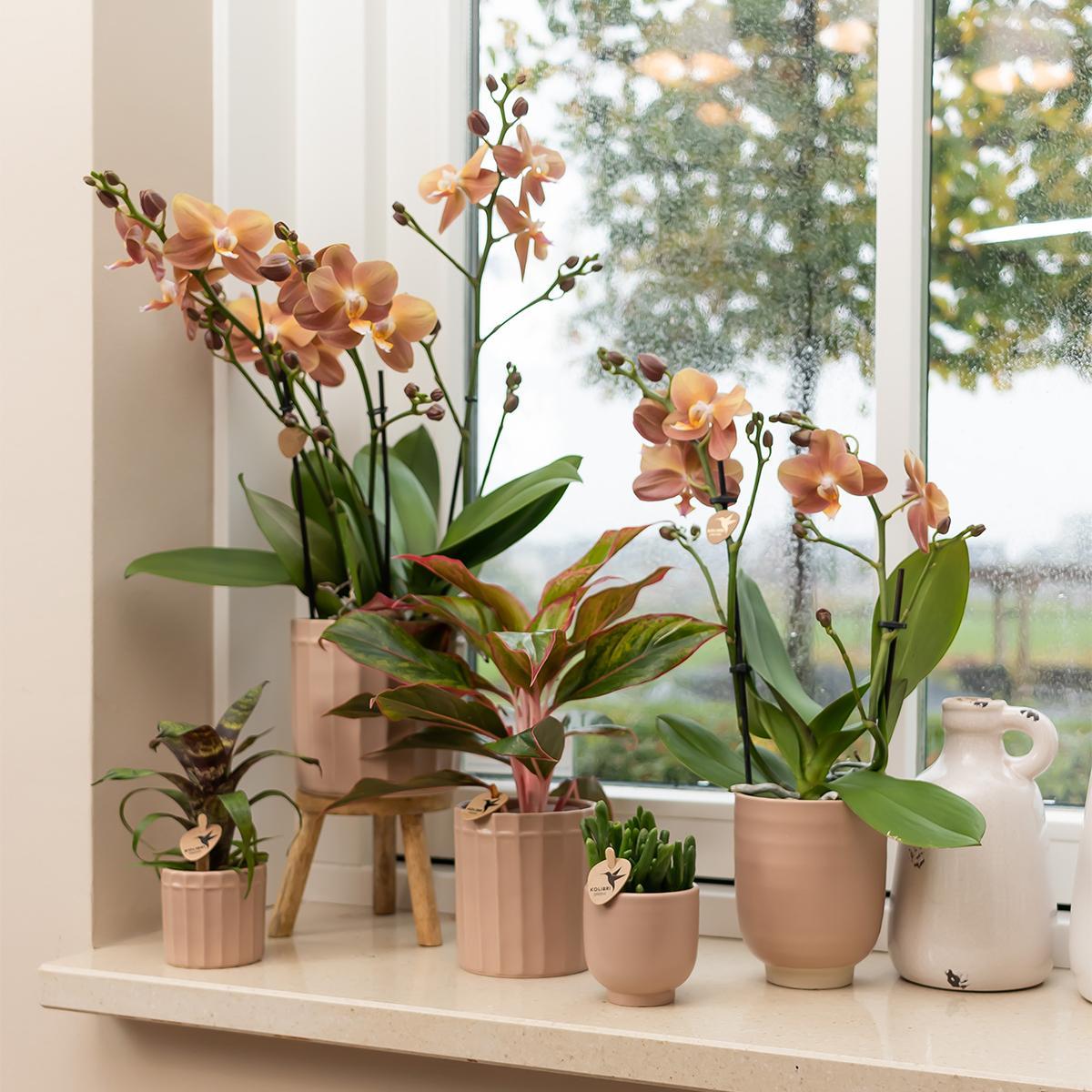 Kolibri Home | Glazed bloempot - Zandkleurige keramieken sierpot met glans  - potmaat Ø12cm