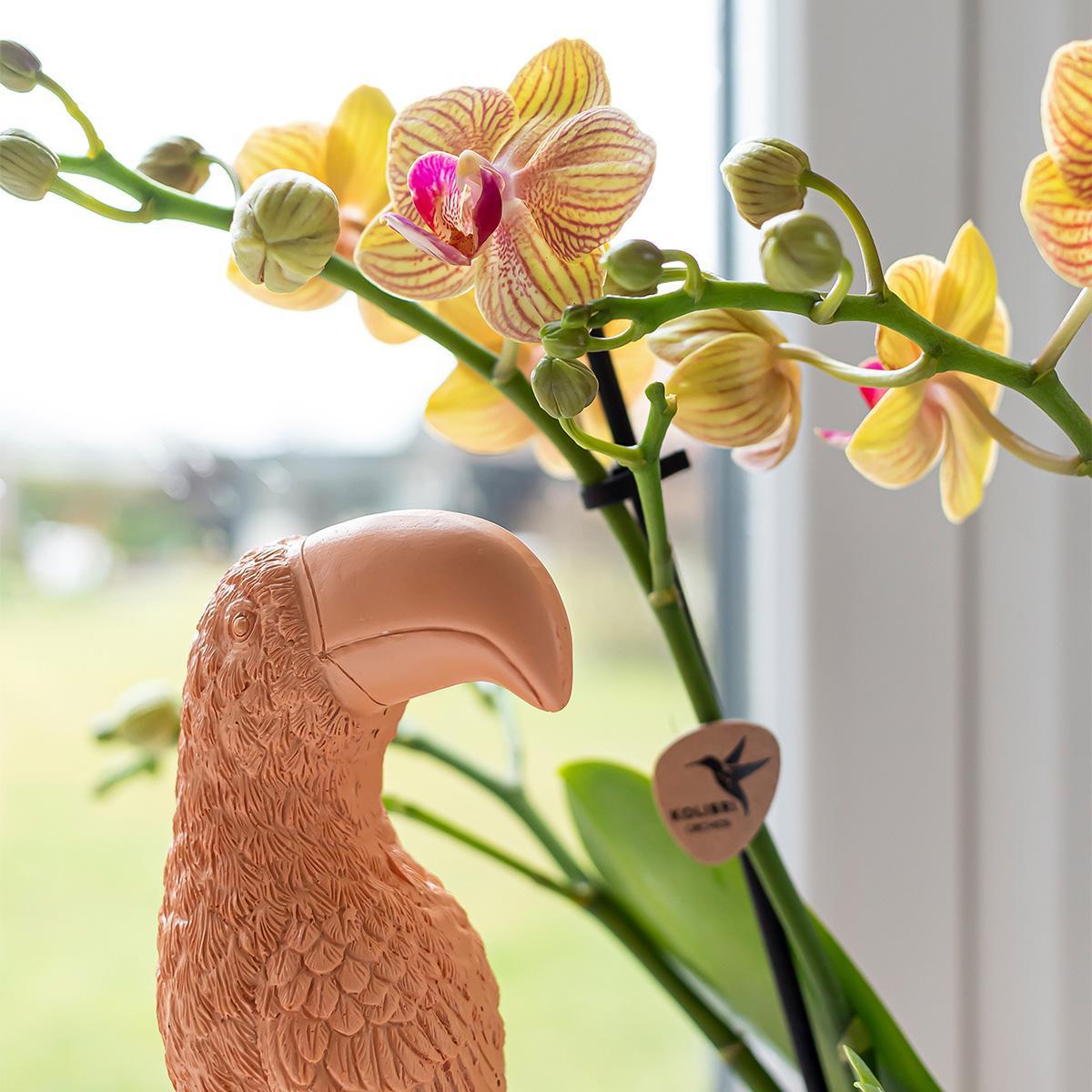 Kolibri Home | Ornament - Decoratie beeld Toucan peach
