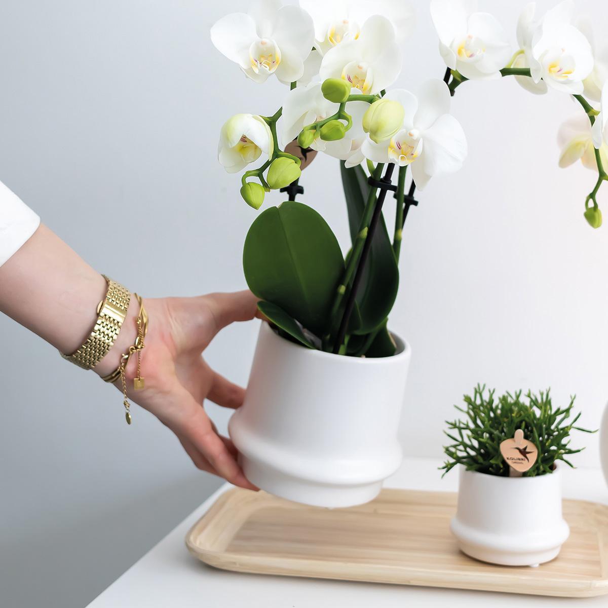 Kolibri Home | Ring bloempot - Witte keramieken sierpot Ø9cm