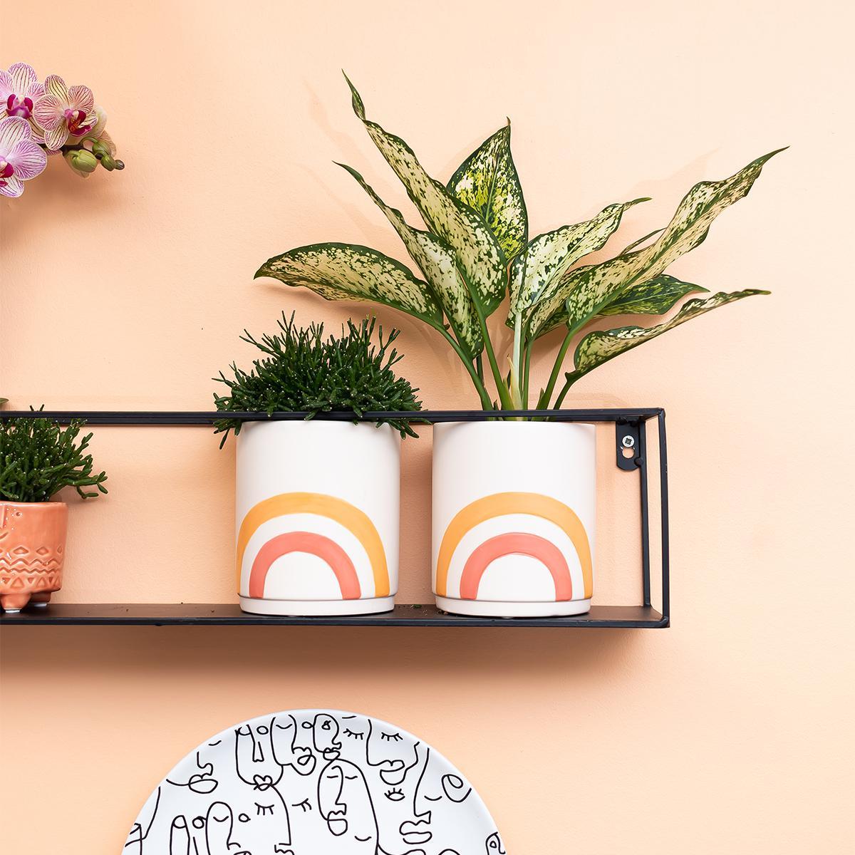 Kolibri Home | Rainbow peach bloempot - Crème keramieken sierpot met print - potmaat Ø9cm