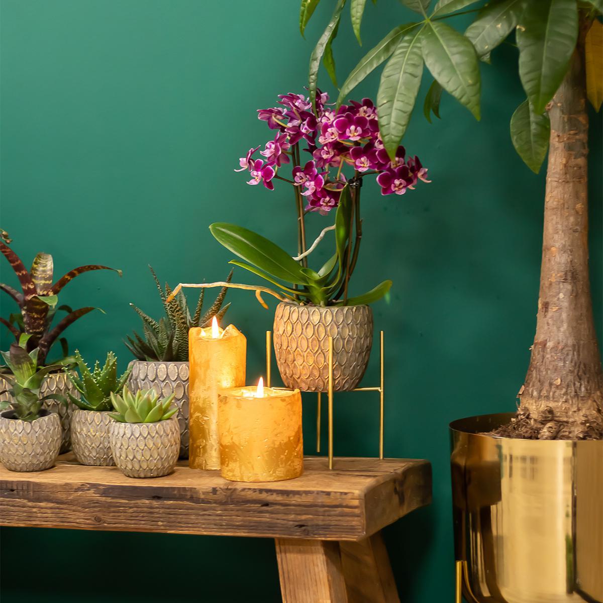Kolibri Home | Plantenstandaard - Gouden metalen planten verhoging Ø12cm